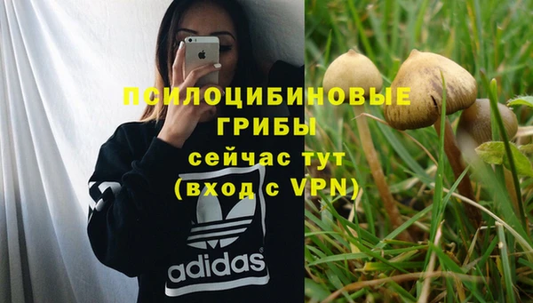 прущая мука Лагань